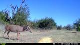 15779 County Road 478 - Photo 38