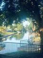 2800 Galaxy Street - Photo 8