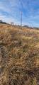 102 Sparrow - Photo 5