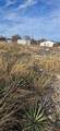 102 Sparrow - Photo 6