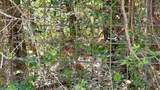 511 Lcr 793 - Photo 26