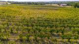 25270 E State Highway 6 - Photo 28