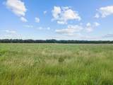 6500 County Road 1050 - Photo 13