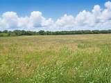 6500 County Road 1050 - Photo 18