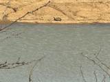 10674 County Road 312 - Photo 12