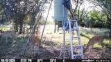 10674 County Road 312 - Photo 24