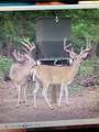 10442 County Road 2434 - Photo 22