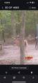 10442 County Road 2434 - Photo 23