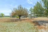 3850 County Road 120 - Photo 37