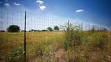 000 County Road 409 - Photo 20