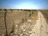 000 County Road 409 - Photo 8