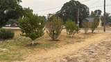 701 Manchaca Avenue - Photo 3