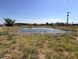 1100 Alford Street - Photo 6