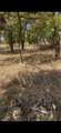 103313 Hillside Circle - Photo 1
