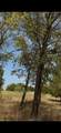 103313 Hillside Circle - Photo 2