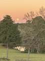 19743 County Road 3227 - Photo 15