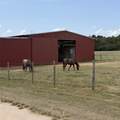 19743 County Road 3227 - Photo 26