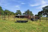 3100 County Road 153 - Photo 16