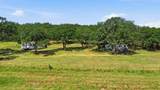3100 County Road 153 - Photo 3