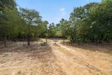 4079 Farm To Market 2869 Road - Photo 13
