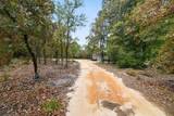 4079 Farm To Market 2869 Road - Photo 16