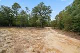4079 Farm To Market 2869 Road - Photo 32