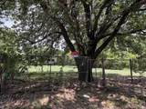 6893 County Road 889 - Photo 2