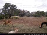 190 Pvt Rd 3019 - Photo 28