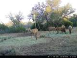190 Pvt Rd 3019 - Photo 29