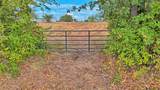 437 Jakes Road - Photo 37