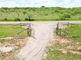Tract 1 Fm 2526 & 569 - Photo 12