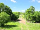 Tract 1 Fm 2526 & 569 - Photo 25