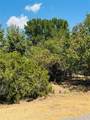 14057 Sandy Oaks Drive - Photo 4