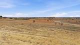3004 Palermo Drive - Photo 3
