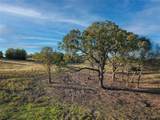 Tract 4 Lazy E Rd - Photo 19