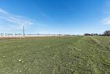 TBD Bois D' Arc Lane - Photo 5