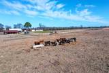 8612 Fm 1616 - Photo 33