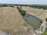 152 Acres Fm 137 - Photo 6