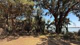 Tracts 16C-1 & 2 Cr 2170 - Photo 26