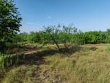 205 Rabbit Run - Photo 6