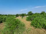 205 Rabbit Run - Photo 7