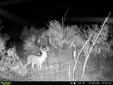 TBD Cr 218 - Photo 15