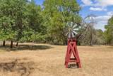 444 Red Bud Hill - Photo 10