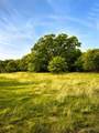 Lot 1 Pleasant Hill Road - Photo 3