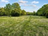 Lot 1 Pleasant Hill Road - Photo 4