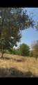 103235 Hillside Circle - Photo 2