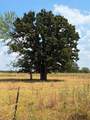 1196 Rs County Road 3220 - Photo 3