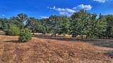 384 Red Oak Hills Road - Photo 19