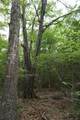 11919 County Road 1200 - Photo 15