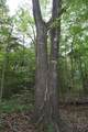 11919 County Road 1200 - Photo 19